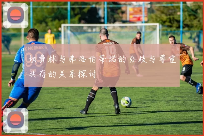 切费林与弗洛伦蒂诺的分歧与尊重共存的关系探讨