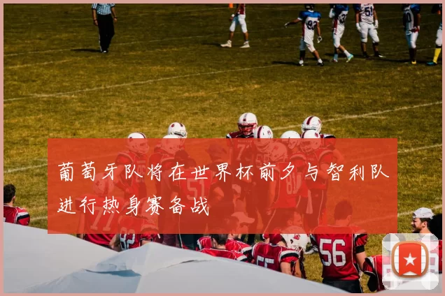 葡萄牙队将在世界杯前夕与智利队进行热身赛备战