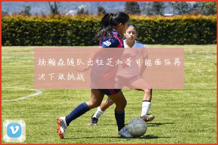杨瀚森随队出征芝加哥可能面临再次下放挑战