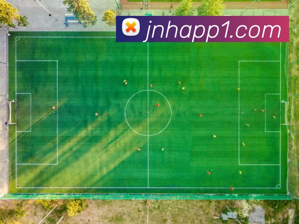 金年会体育appAPP 封面图